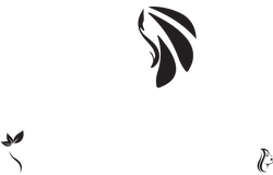 washunova